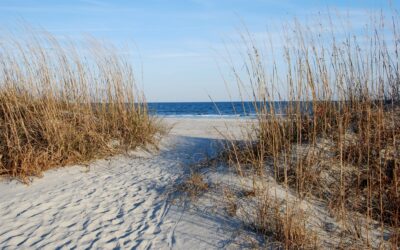 Les plus beaux lieux pour se marier dans les Landes : guide complet